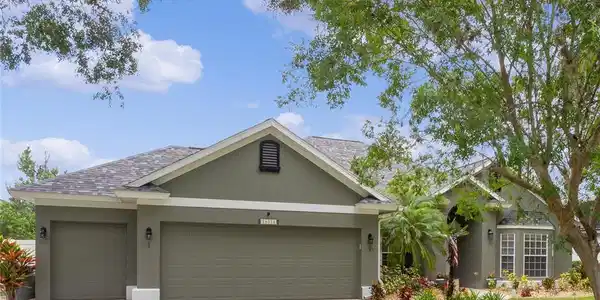 19351 SPRING OAK