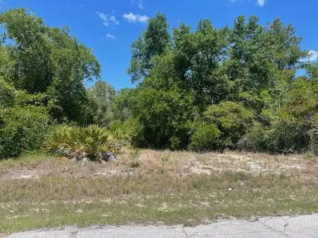Image 1 Image 1