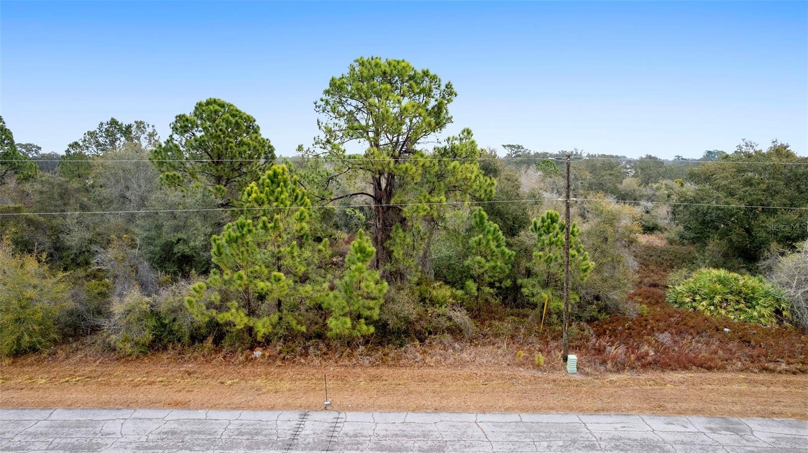 Image 1 Image 1