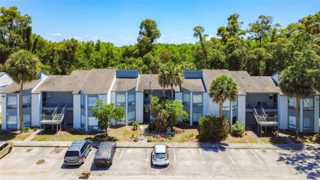 2636 LEMON TREE LANE
