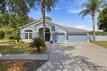 25540 RISEN STAR DRIVE