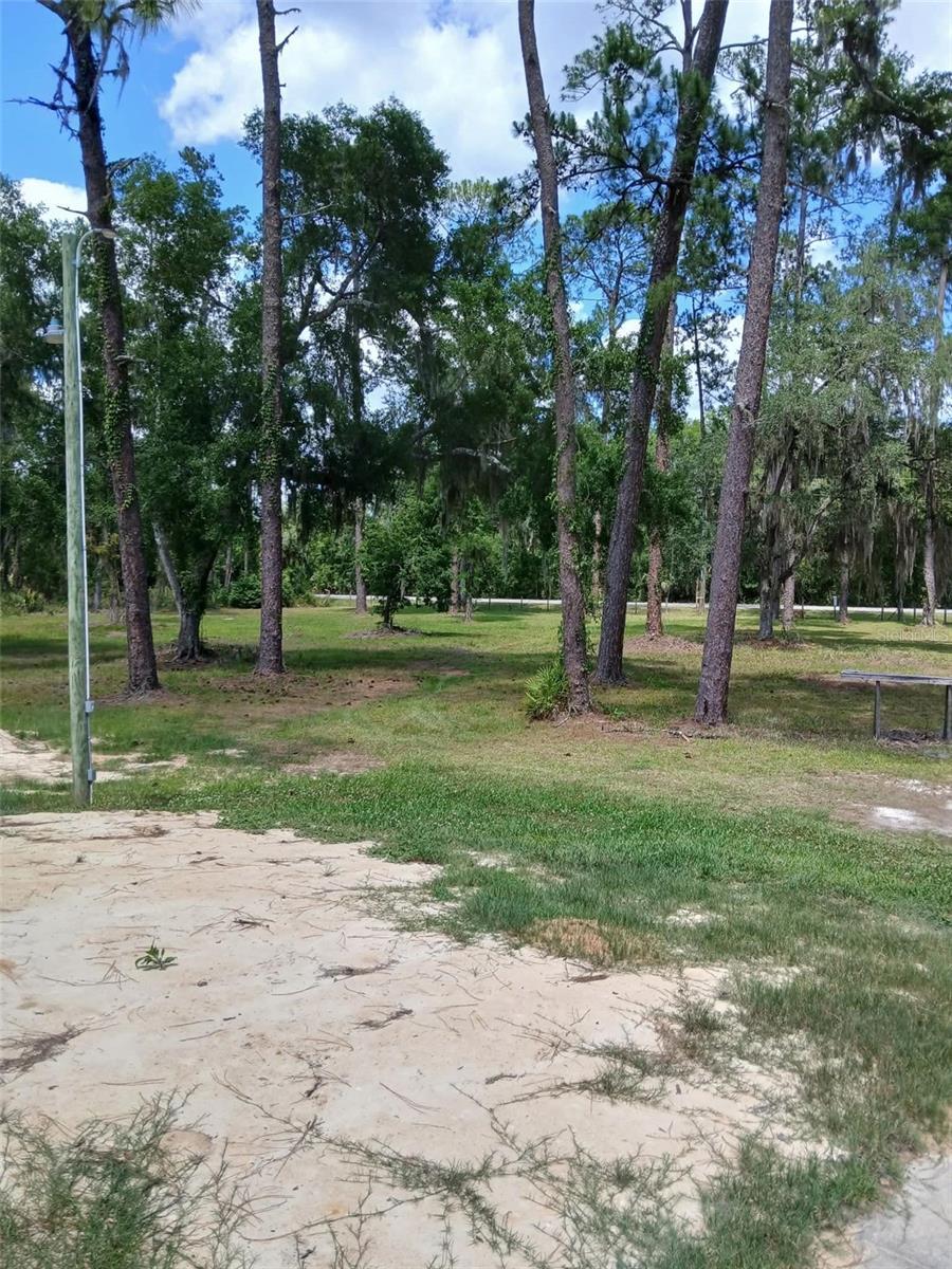 Image 4 Image 4