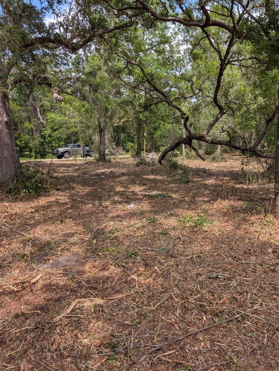 Image 1 Image 1