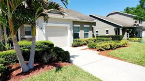 2096 SWITCH GRASS
