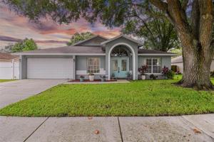 2351 FOGGY RIDGE