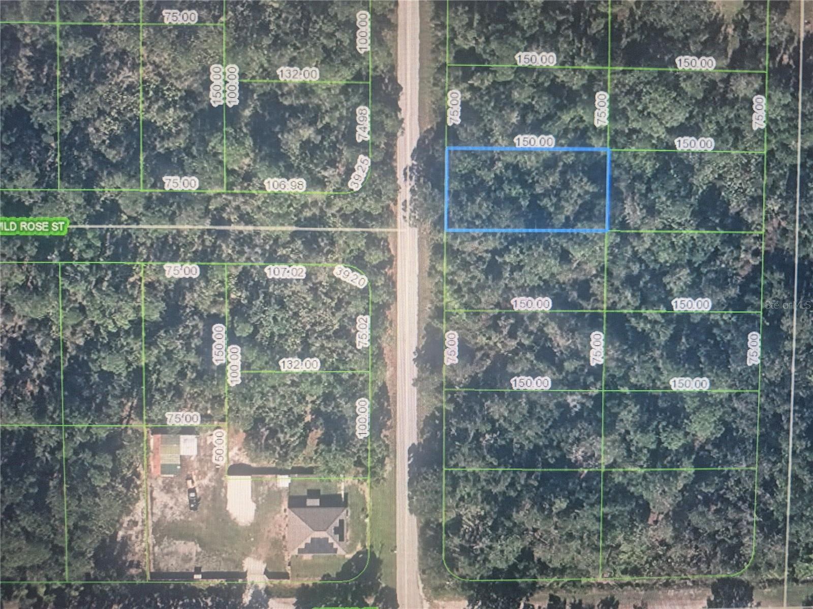Image 4 Image 4
