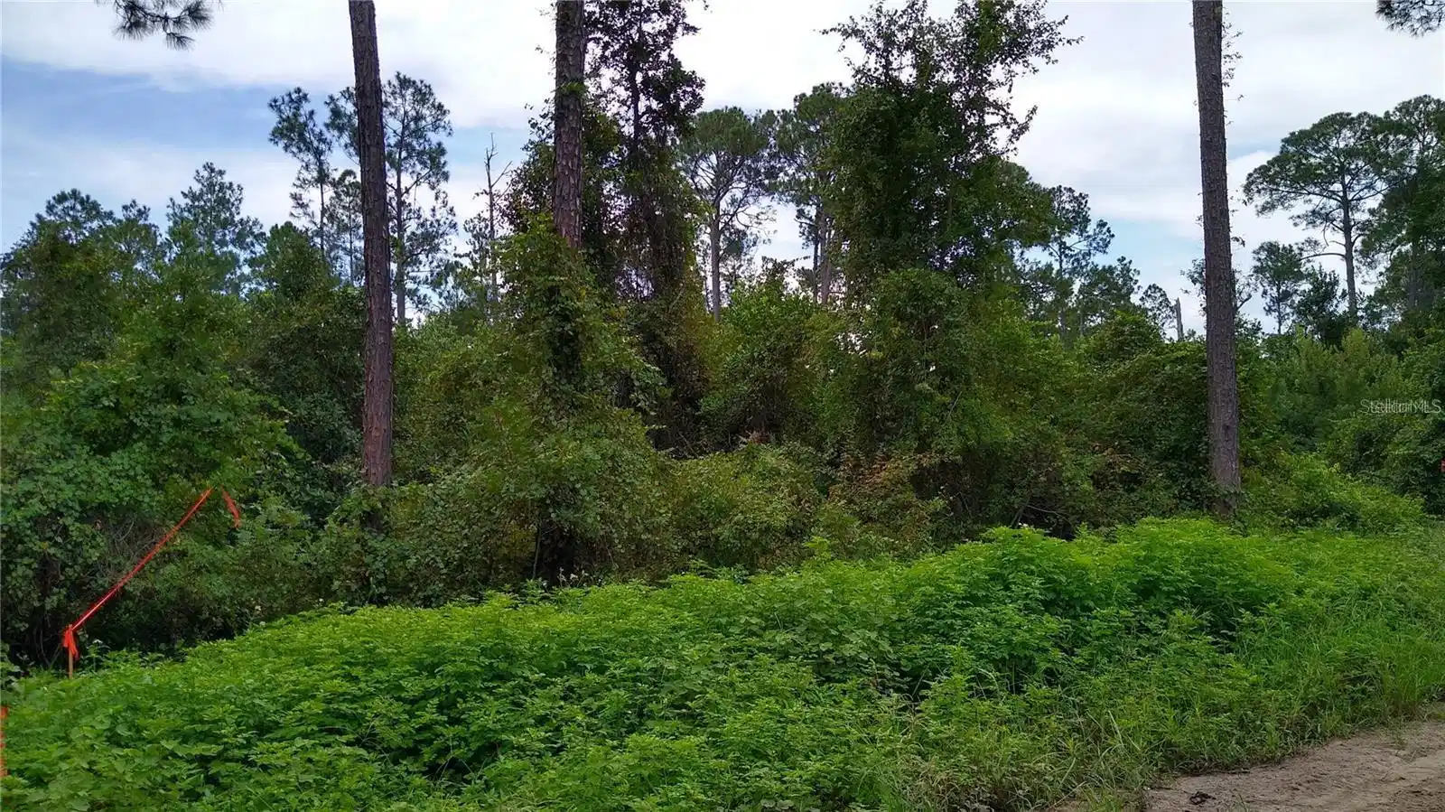Image 1 Image 1