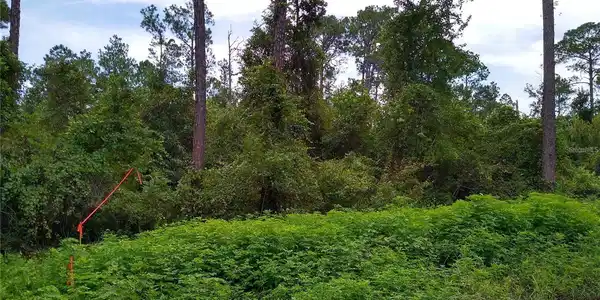 Image 4 Image 4