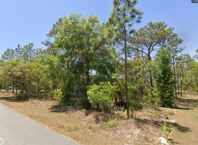 TBD Lot 25 OAK LANE CIRCLE