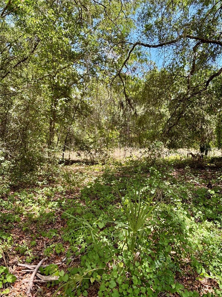 Image 3 Image 3