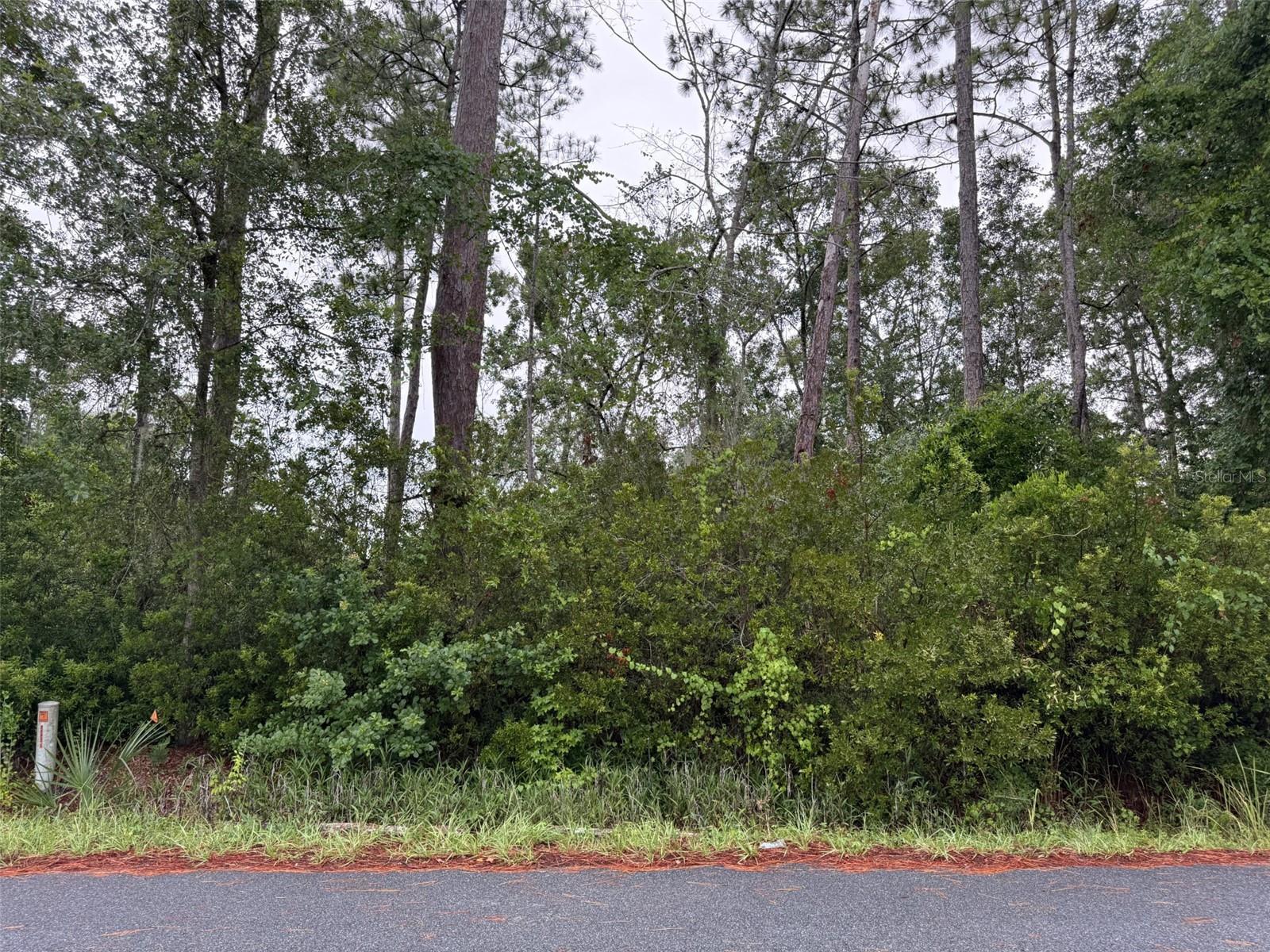 Image 1 Image 1