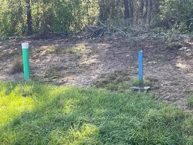 Image 1 Image 1