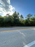 LAKE MARION CREEK