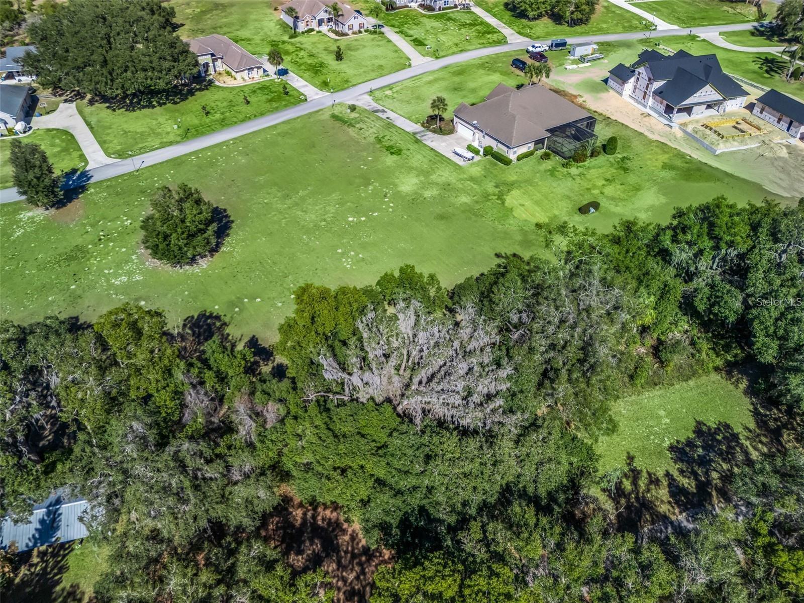 Image 4 Image 4