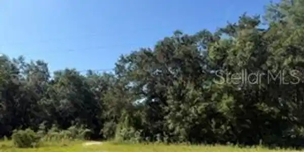 Image 3 Image 3