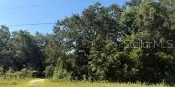 Image 4 Image 4