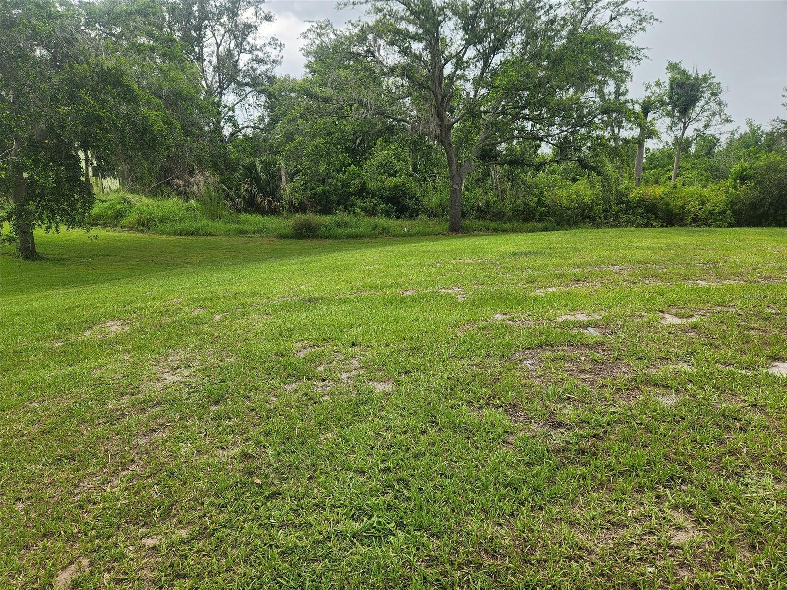 Image 4 Image 4