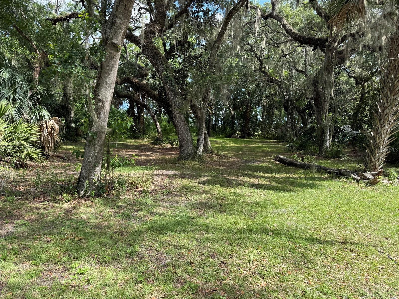 Image 1 Image 1