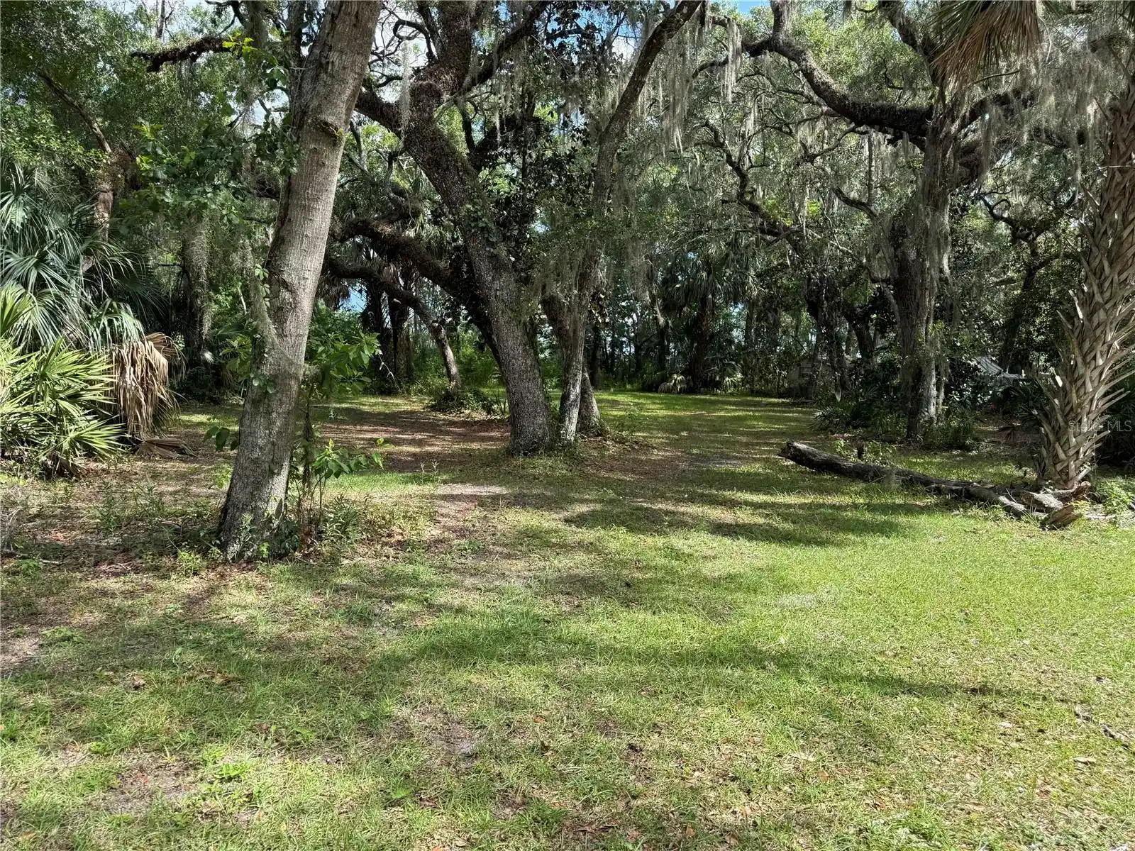 Image 1 Image 1