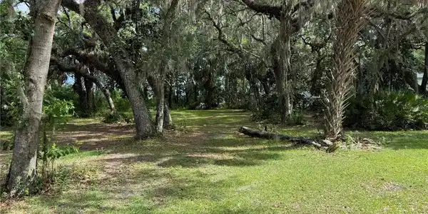 Image 3 Image 3