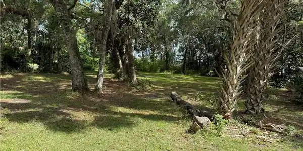 Image 4 Image 4