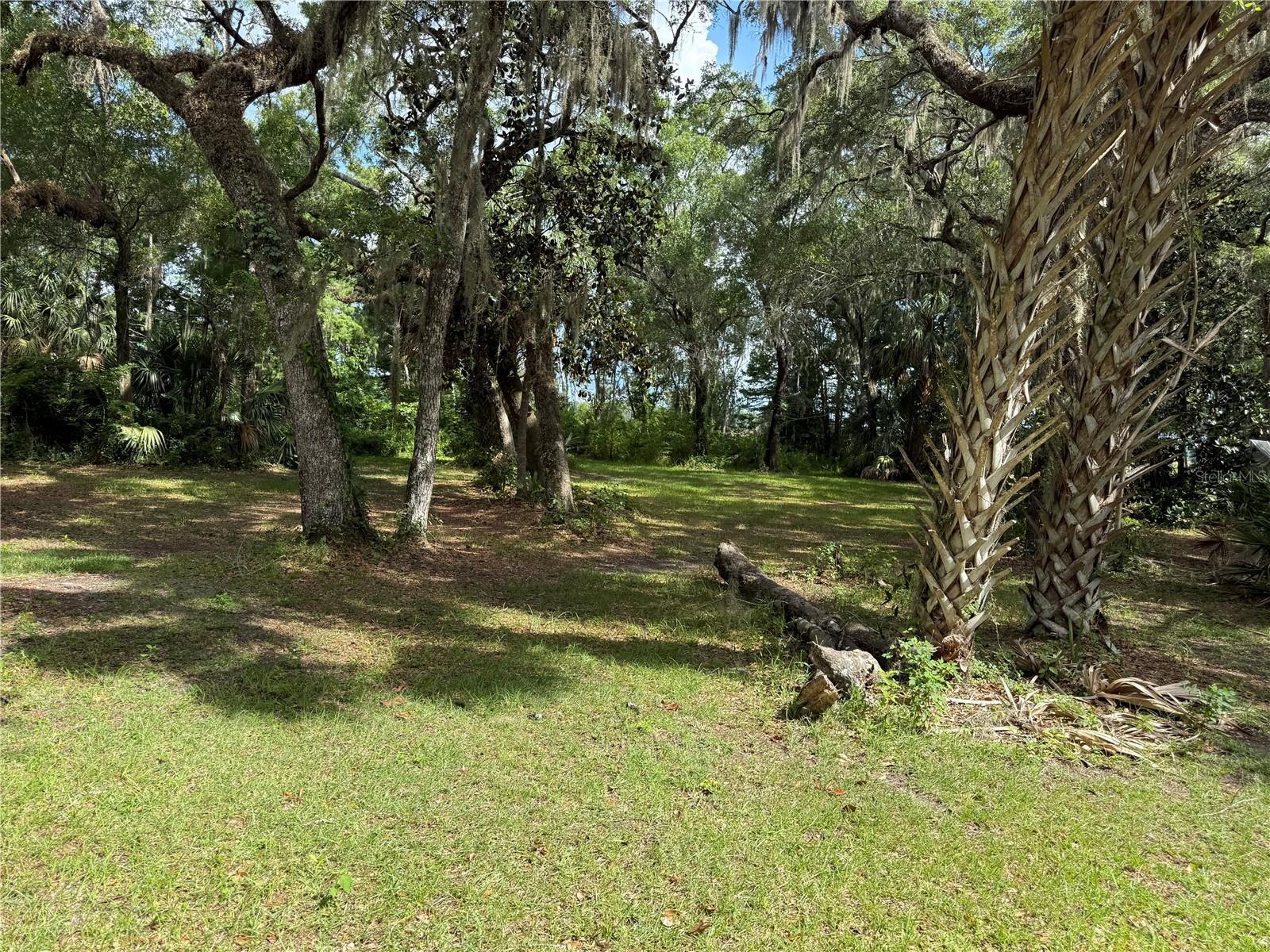 Image 4 Image 4