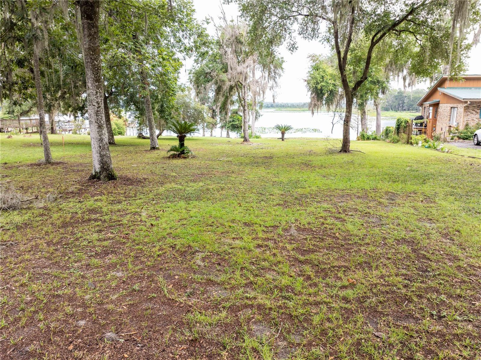 Image 1 Image 1