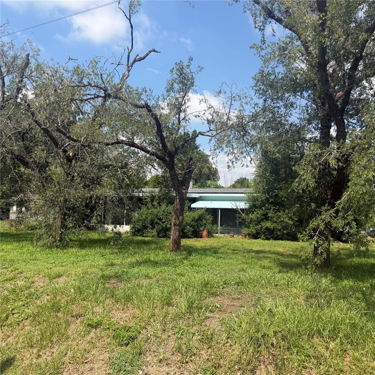 Image 1 Image 1