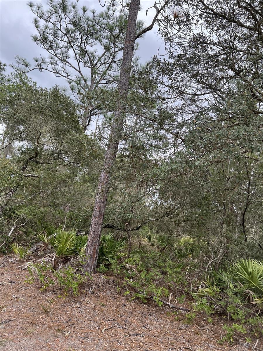 Image 3 Image 3