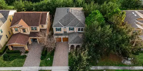 6752 TRELLIS VINE LOOP