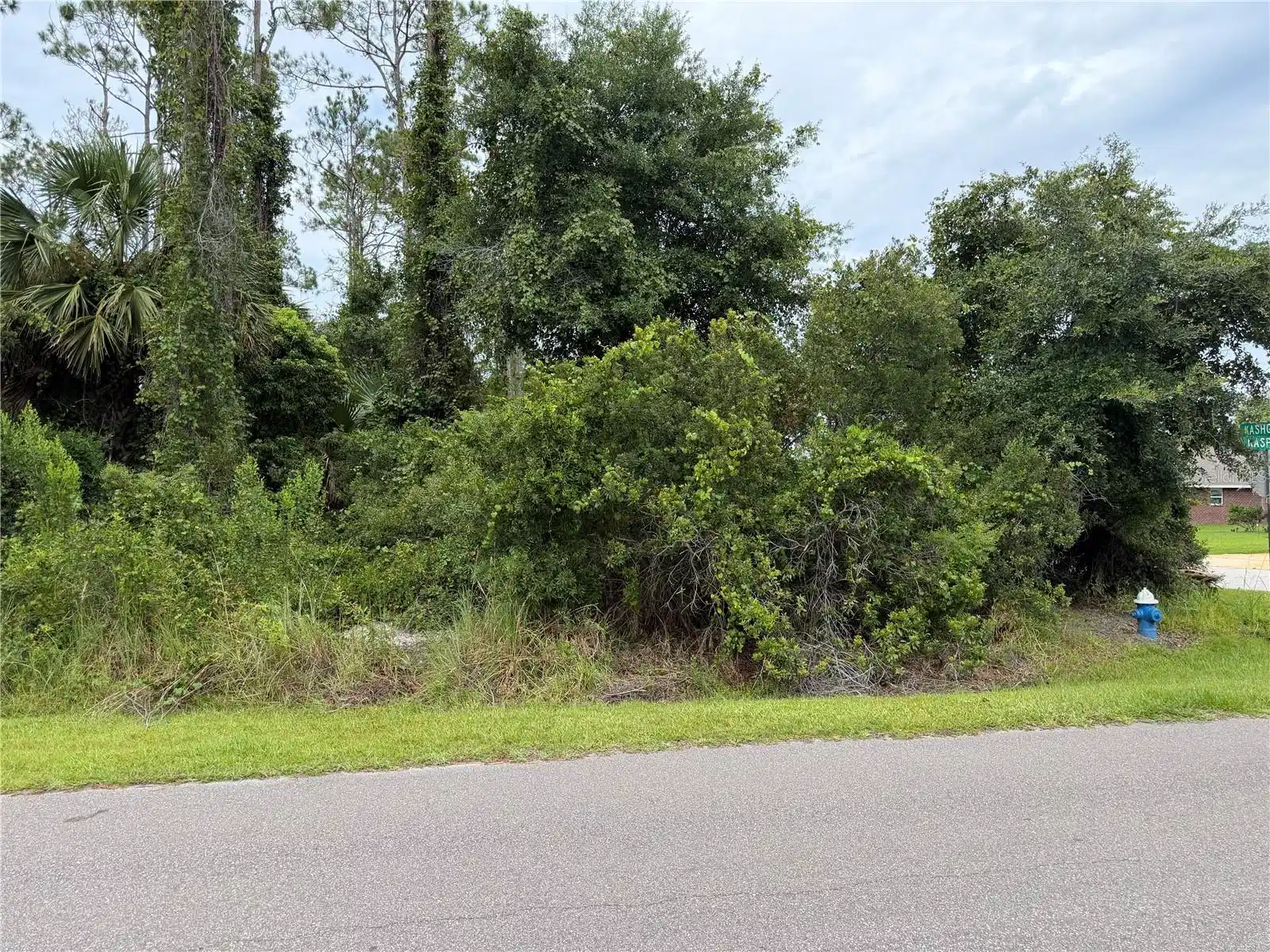 Image 1 Image 1
