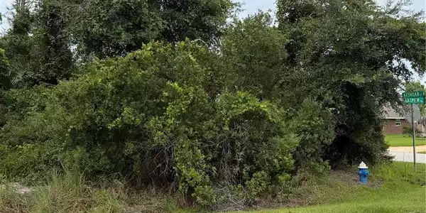 Image 4 Image 4