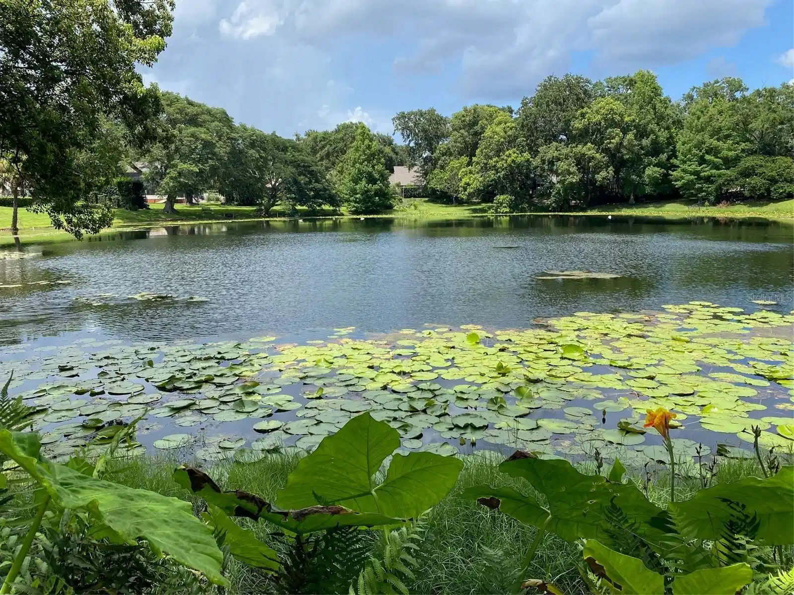 Image 1 Image 1