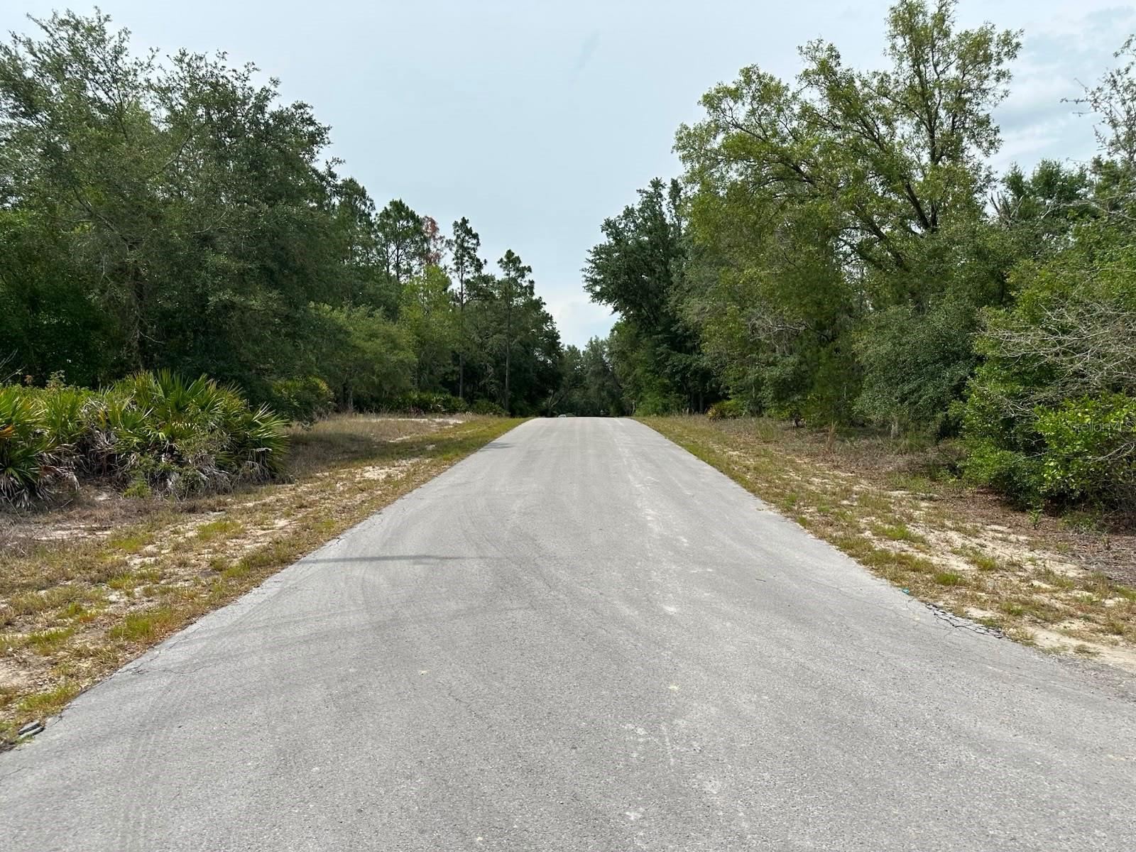 Image 2 Image 2