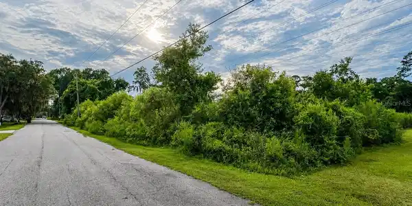 274 TOMS ROAD