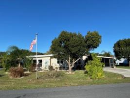 12 MAGNOLIA