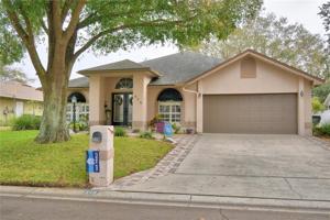 519 LITTLE LAKE