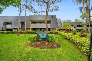 36750 US HIGHWAY 19 N