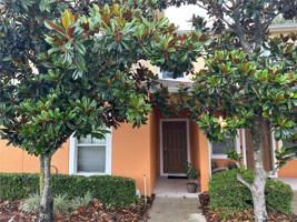 4142 SHADE TREE