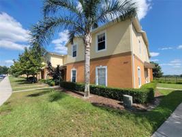 4205 WINDING VINE