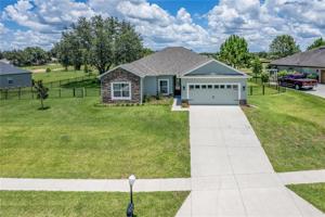 24242 CALUSA