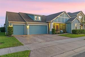 383 BLUE CYPRESS