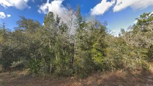34342 BERRYHILL