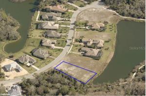 16 BLUE OAK