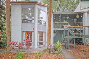 2416 LEMON TREE
