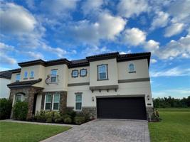 1517 JUNIPER HAMMOCK