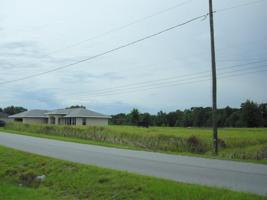 Lot 6 LOCUST
