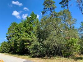 Lot 7 ASPEN