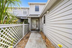 313 ORANGE BLOSSOM