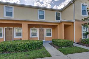 4060 WINDING VINE